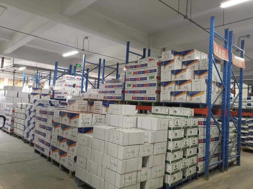 責任民企攜手政府服務，助力泰安抗疫與復工復產(chǎn)